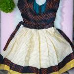 4 yr old - Green onam froak with lining
